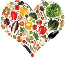 GEFO nutrition Srl: alimentazione sana